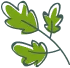 Slider_02