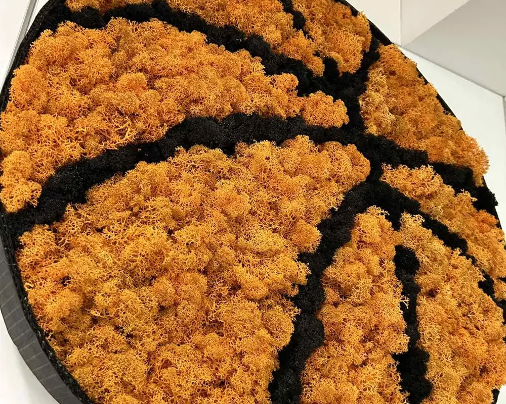 Баскетболна топка от скандинавски мъх