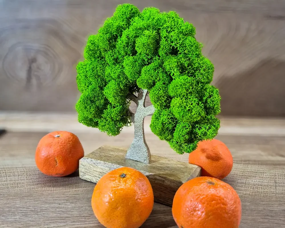 Дърво Скандинавска Мечта