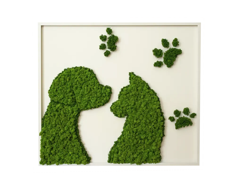 Куче и котка