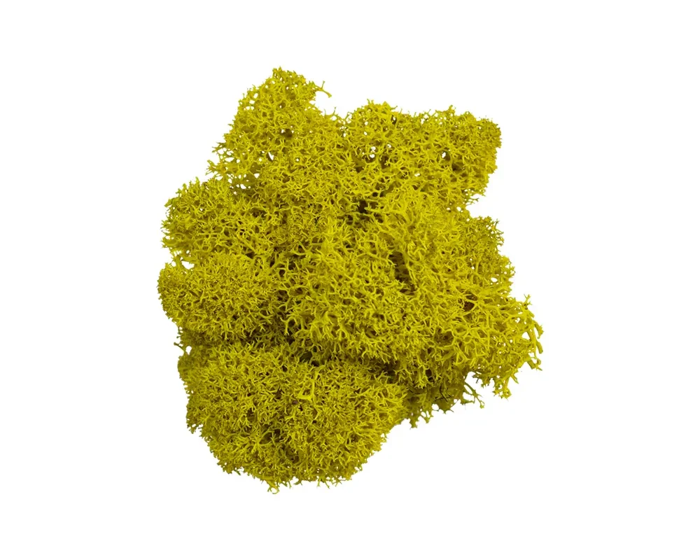 Скандинавски мъх, онлайн магазин